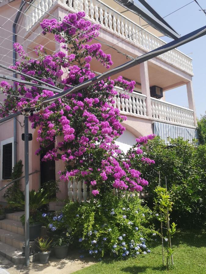 Apartments Daniela Водице Экстерьер фото